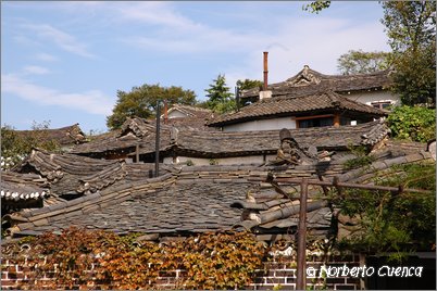 2005_10_north_korea_web_27