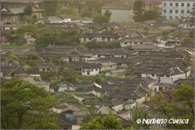 2005_10_north_korea_web_28