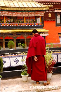028_2005_08_tibet_0422_lhasa1