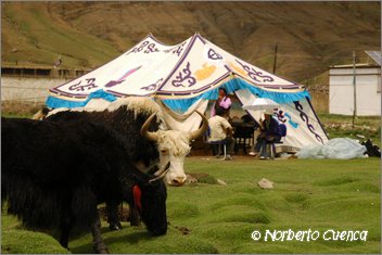 110_2005_08_tibet_1519_back_in_sangsang