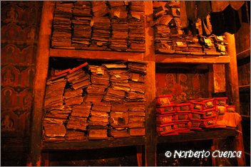 138_2005_08_tibet_1858_gyantse